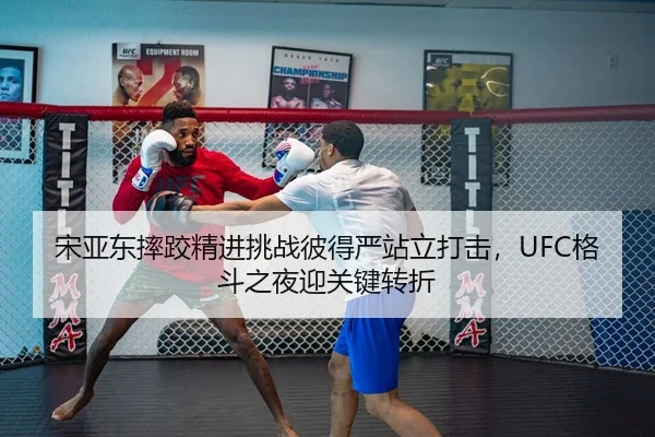 宋亚东摔跤精进挑战彼得严站立打击，UFC格斗之夜迎关键转折