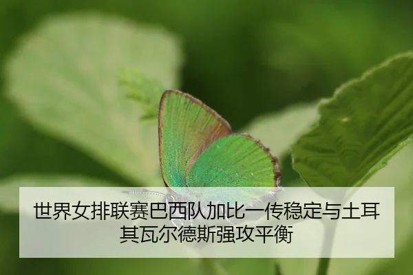 shi-jie-nv-pai-lian-sai-ba-xi-dui-jia-bi-yi-chuan-wen-ding-yu-tu-er-qi-wa-er-de-si-qiang-gong-ping-heng-3-920.jpg